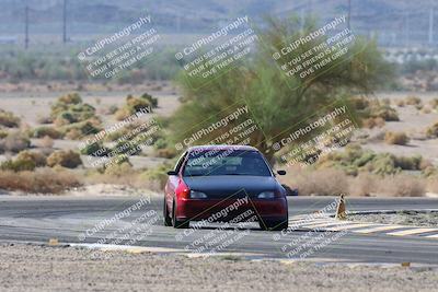 media/Oct-24-2025-Doghouse Garage (Fri) [[783d2ff07a]]/1-Advanced/Session 2 Turn 5 Tree of Life/